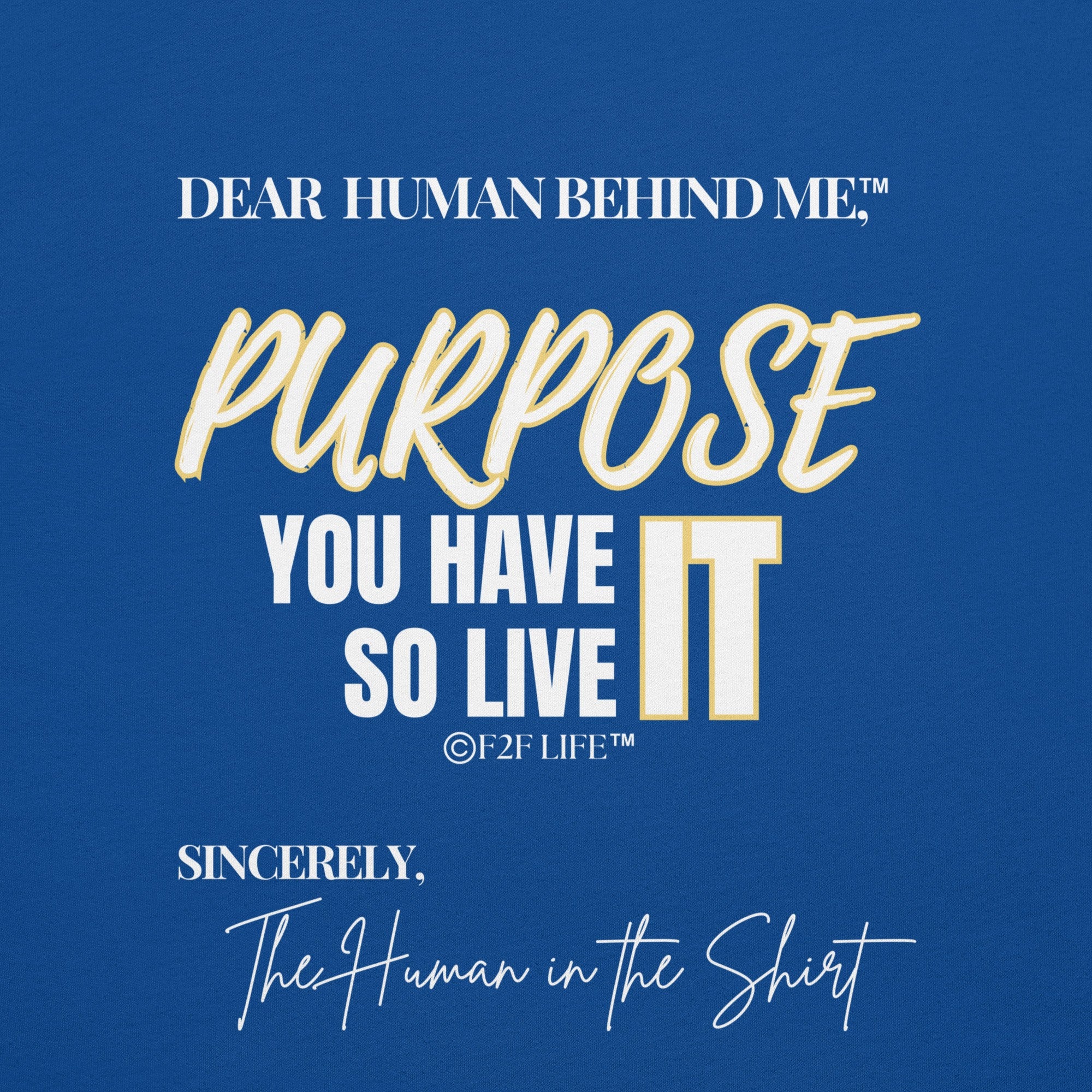 Graphic Design for Dear Human Behind Me, Message 7 You Have Purpose on Blue Shirt