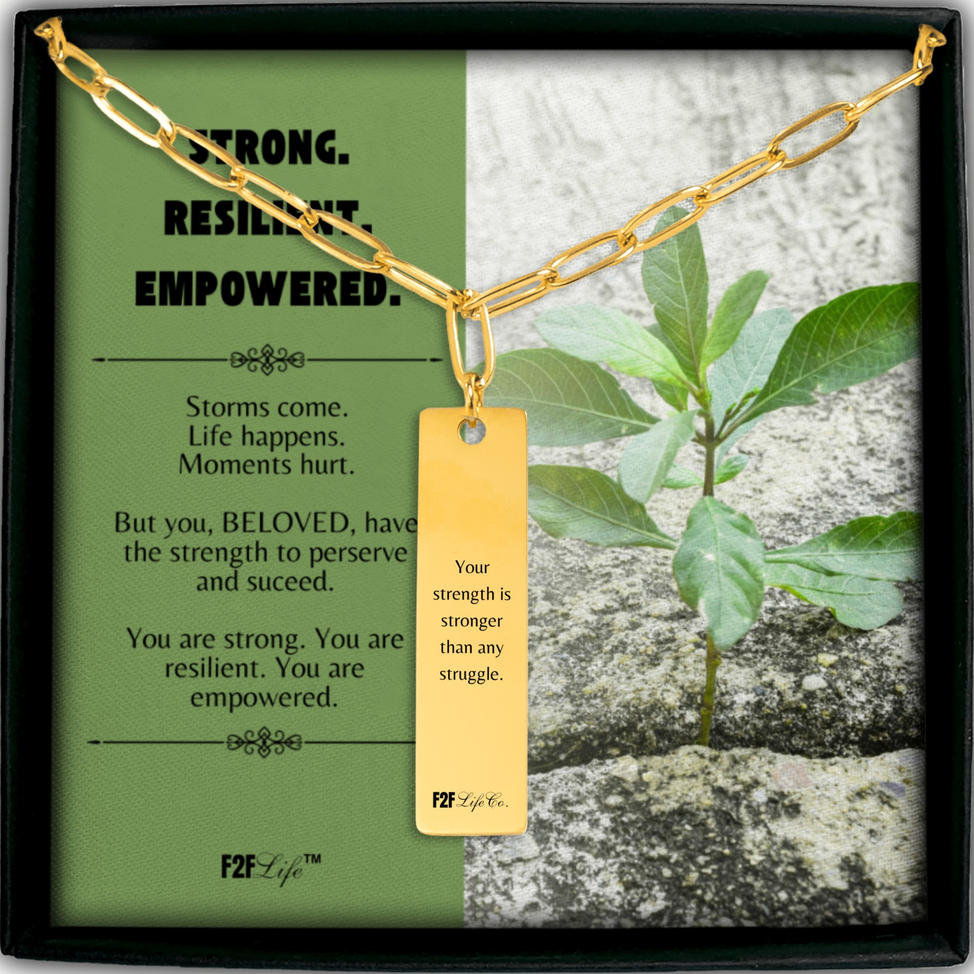 Resilient vertical bar necklace with paperclip chain back view with message in a jewelry box with insert
