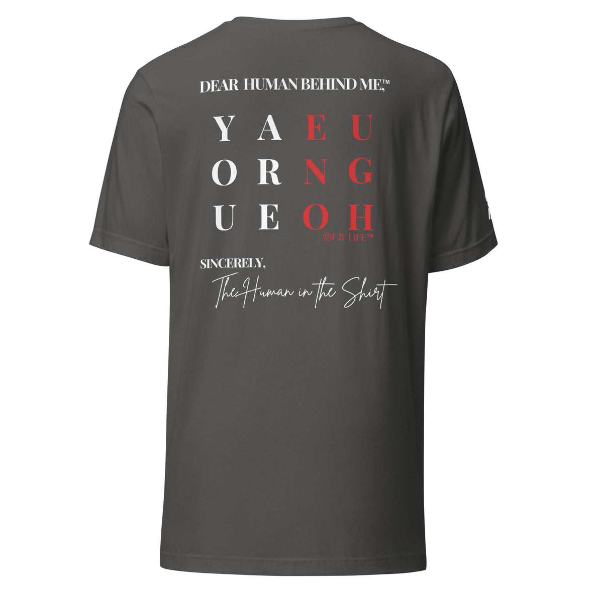 Dear Human Behind Me™ asphalt shirt Message #03 you are enough back view